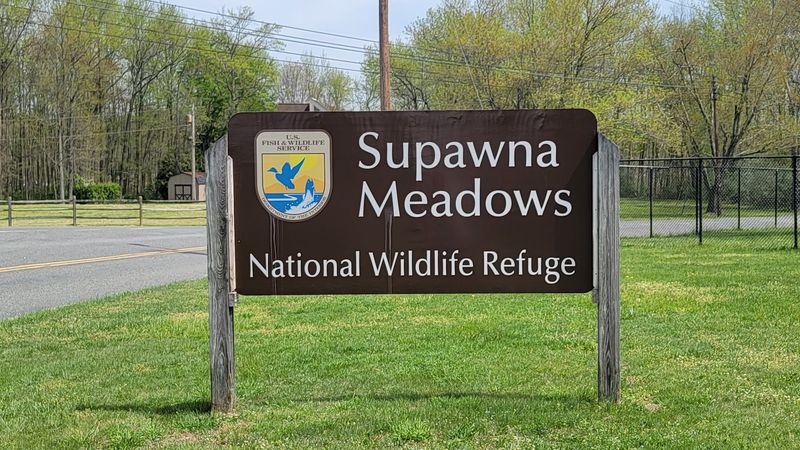 Supawna Meadows National Wildlife Refuge, Pennsville, New Jersey Supawna Meadows National Wildlife Refuge, Pennsville, New Jersey