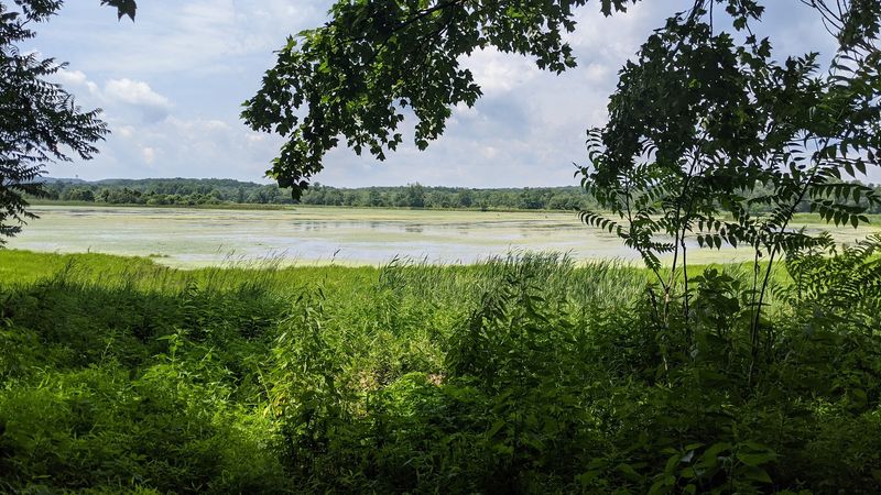 Sussex Branch Trail