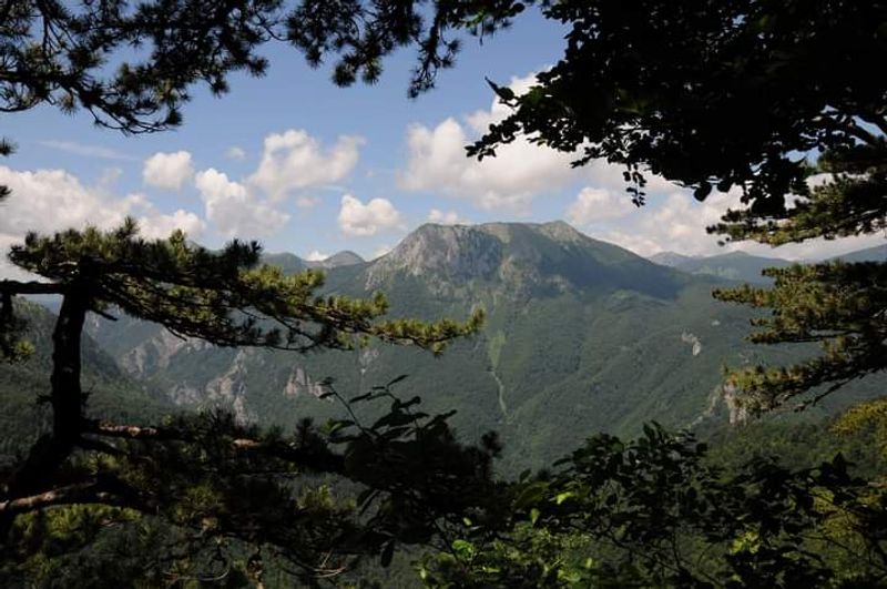 Sutjeska National Park, Bosnia and Herzegovina