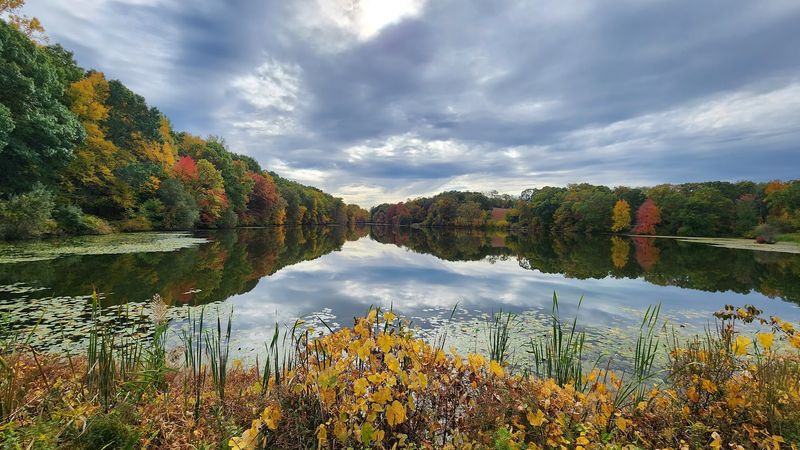 Swan Lake Loop, Rockefeller State Park Preserve, Sleepy Hollow, New York