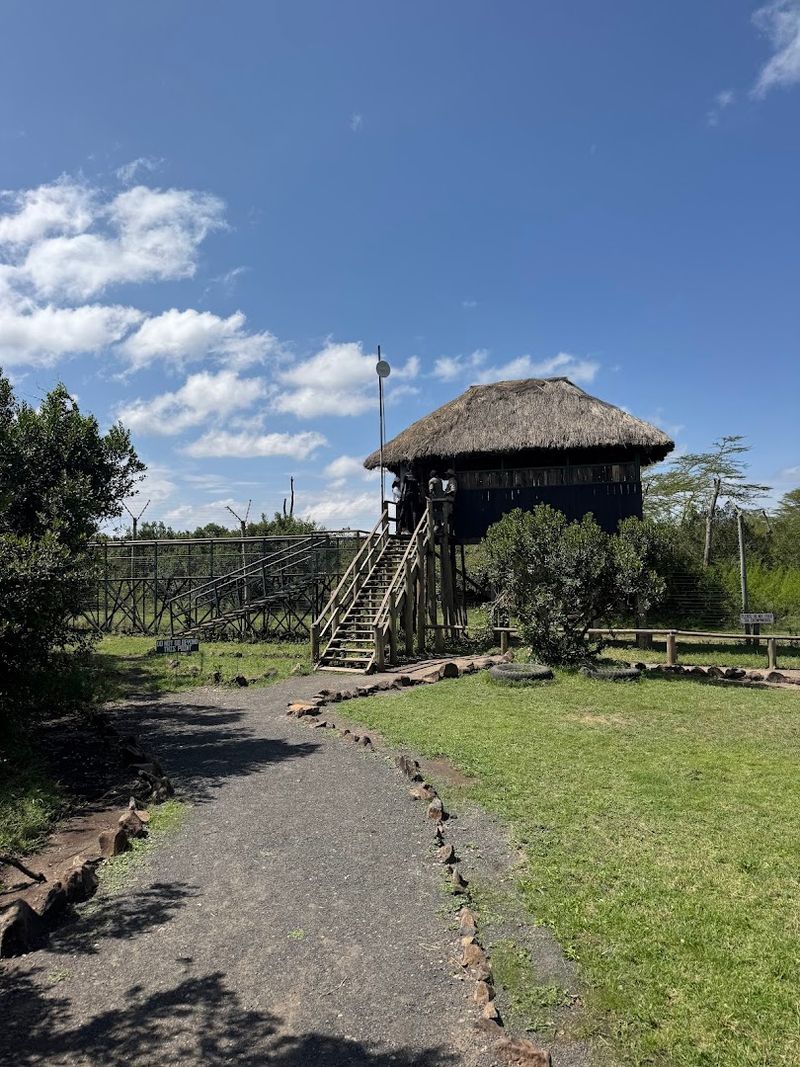 Sweetwaters Chimpanzee Sanctuary, Nanyuki, Kenya