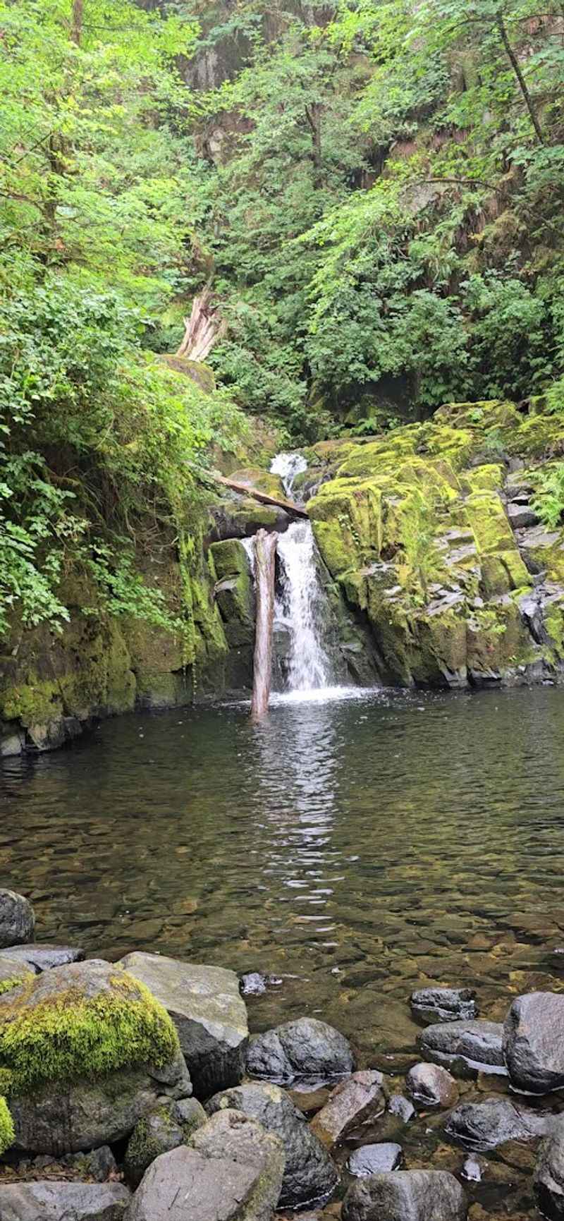 Swimming Holes and Creek Access Along the Way Swimming Holes and Creek Access Along the Way
