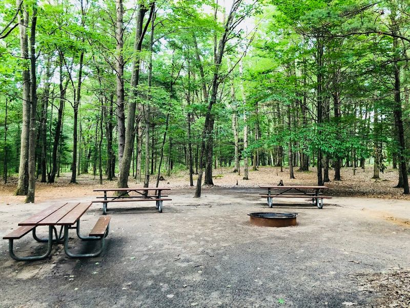 Swimming, Picnicking, and the Day-Use Area