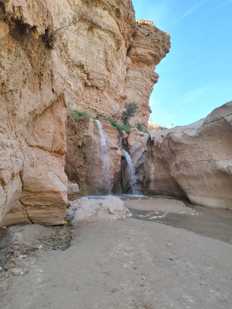 Tamerza Oasis