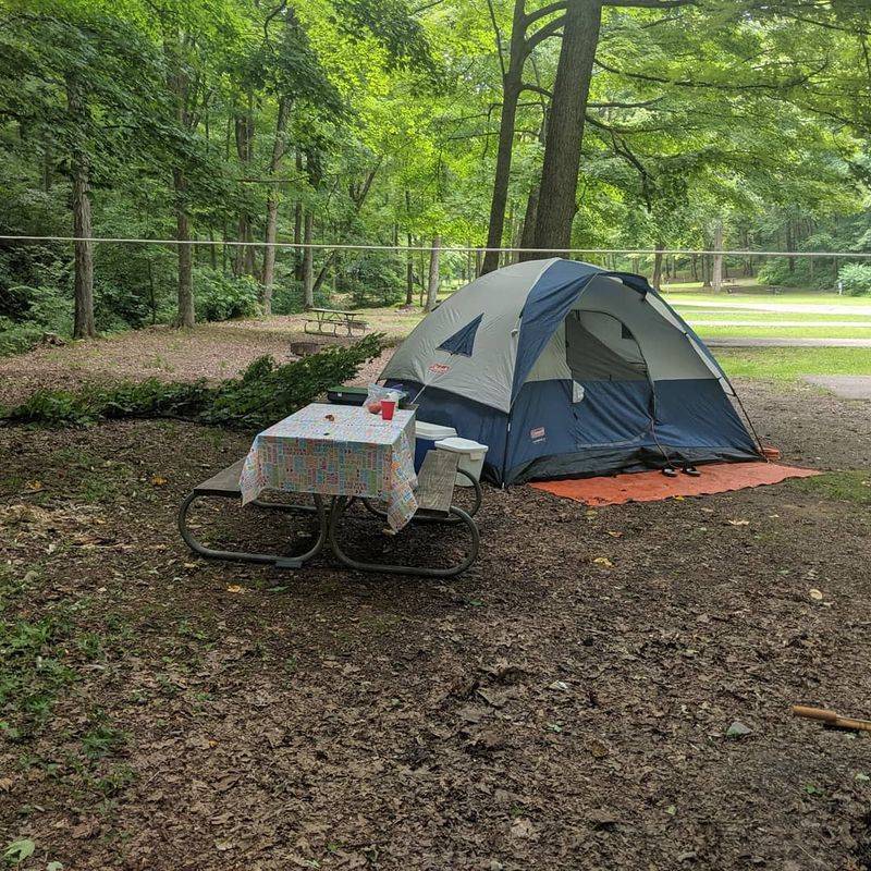 Tar Hollow State Park in Laurelville