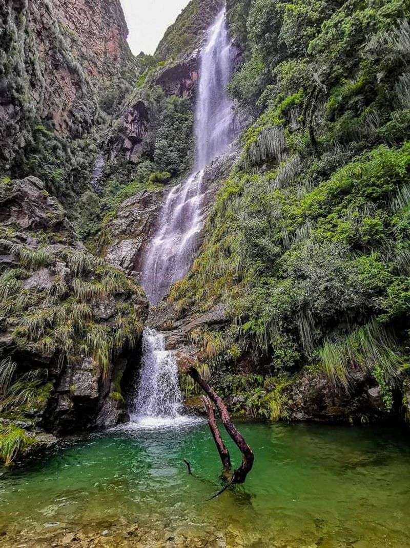Tarija, Bolivia