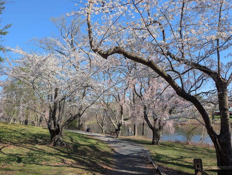 Ten Miles of Trails for Every Kind of Walker
