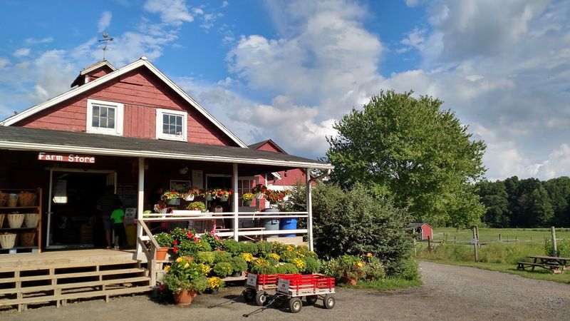 Terhune Orchards, Princeton, New Jersey