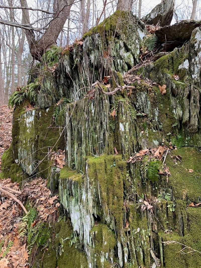 Terrain That Keeps Hikers Engaged