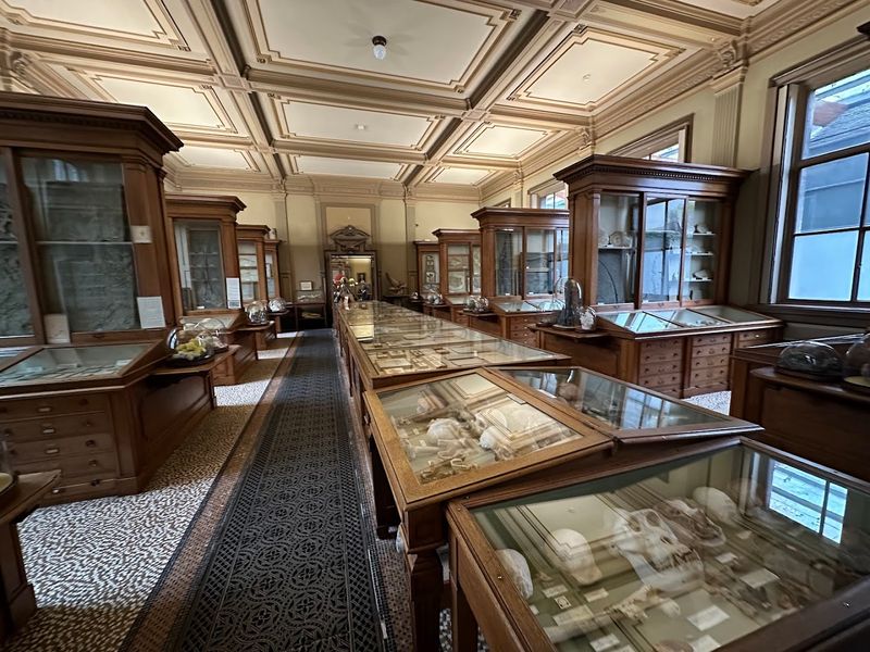 Teylers Museum – Haarlem, Netherlands (1778)