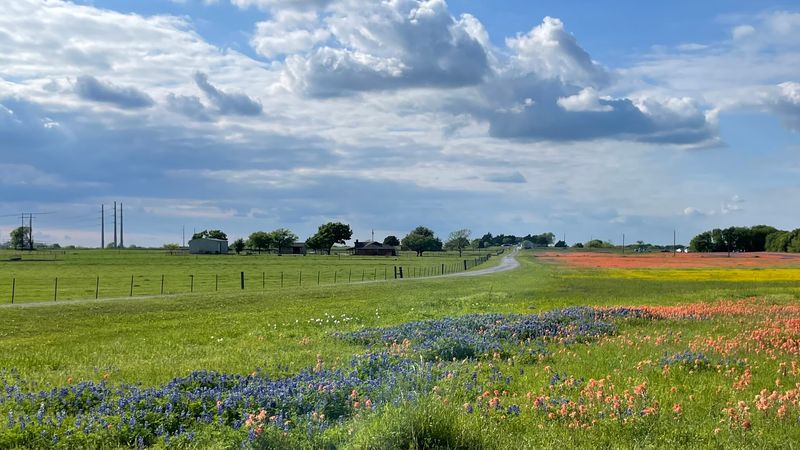 The 40-Mile Driving Route That Changes Everything The 40-Mile Driving Route That Changes Everything
