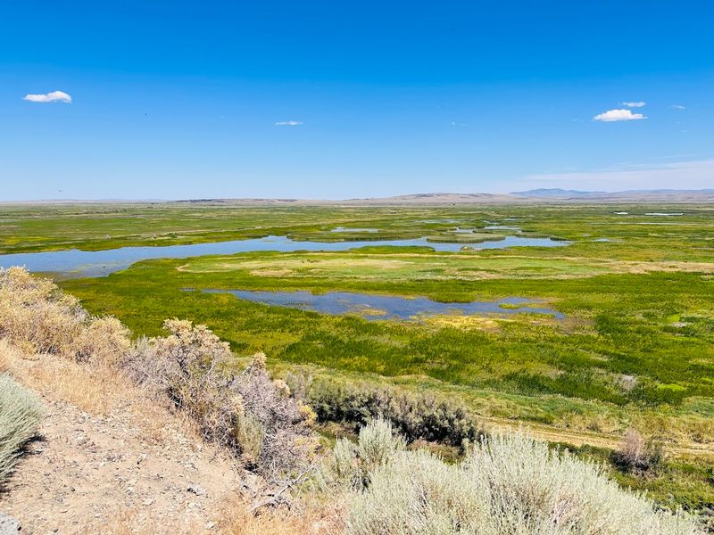 The 42-Mile Auto Tour Route Through the Refuge The 42-Mile Auto Tour Route Through the Refuge
