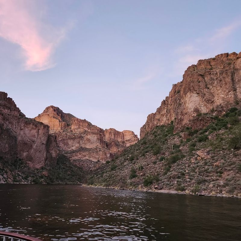 The 90-Minute Nature Cruise: What You Will Actually See The 90-Minute Nature Cruise: What You Will Actually See