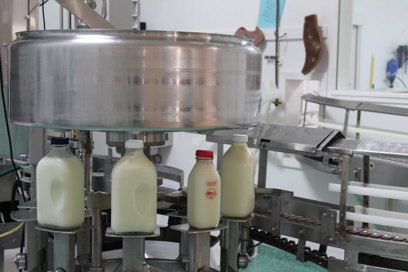 The Amish Co-op Behind the Creamery