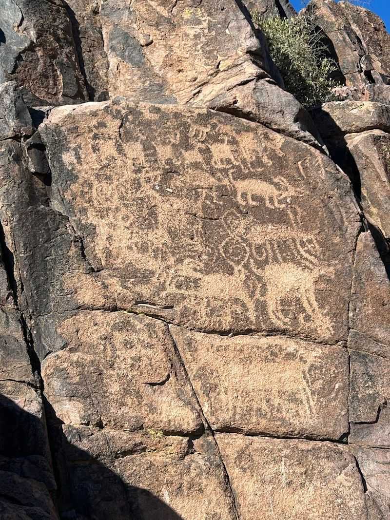 The Ancient Petroglyphs That Give the Trail Its Name The Ancient Petroglyphs That Give the Trail Its Name