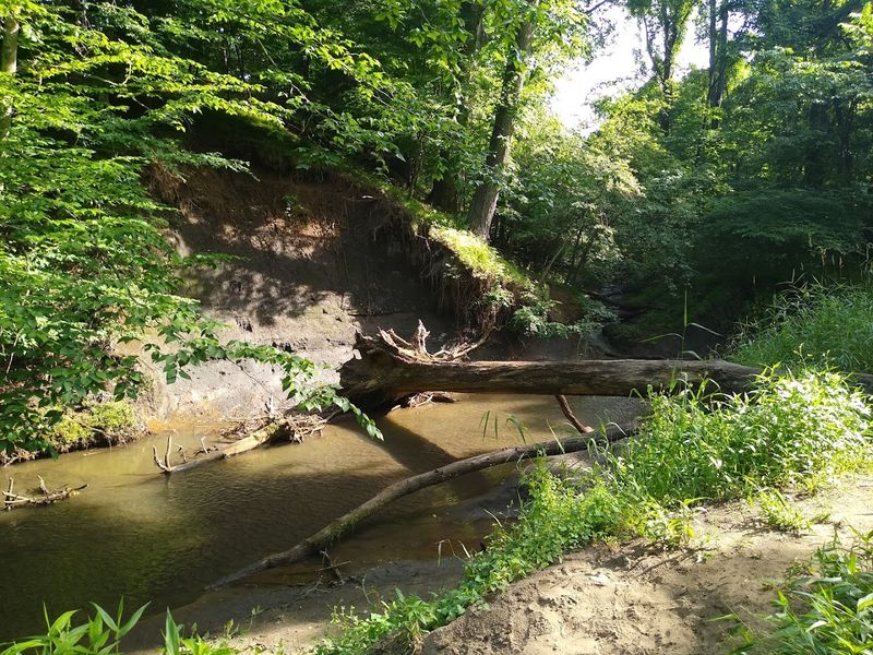 The Ancient Story Behind the Brook