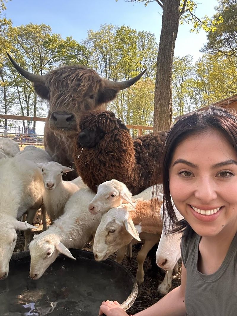 The Animals That Keep People Coming Back