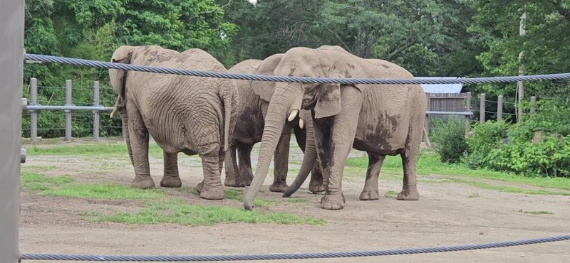 The Animals That Keep People Talking The Animals That Keep People Talking