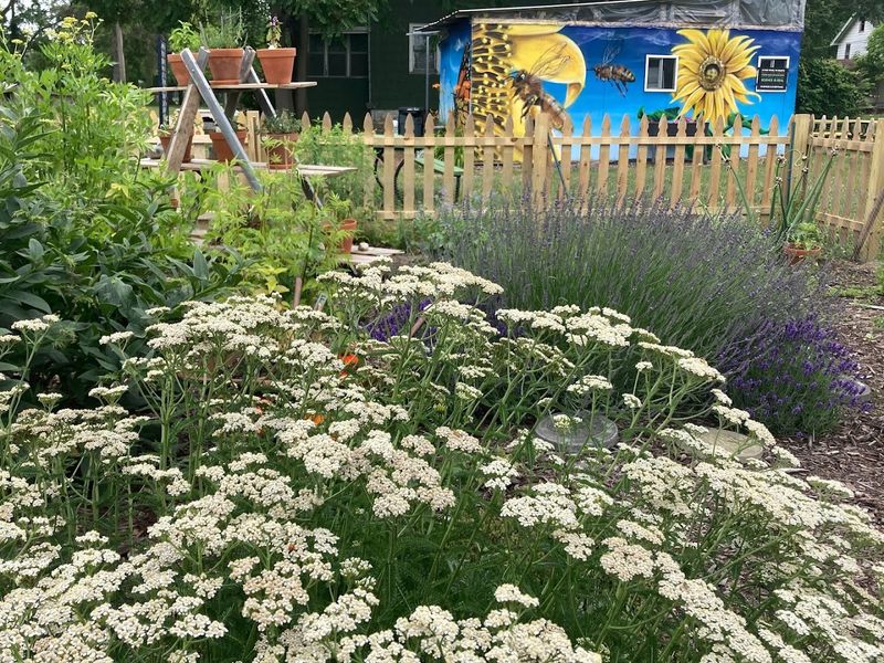 The Annual Food Garden Tour: A City-Wide Celebration in July
