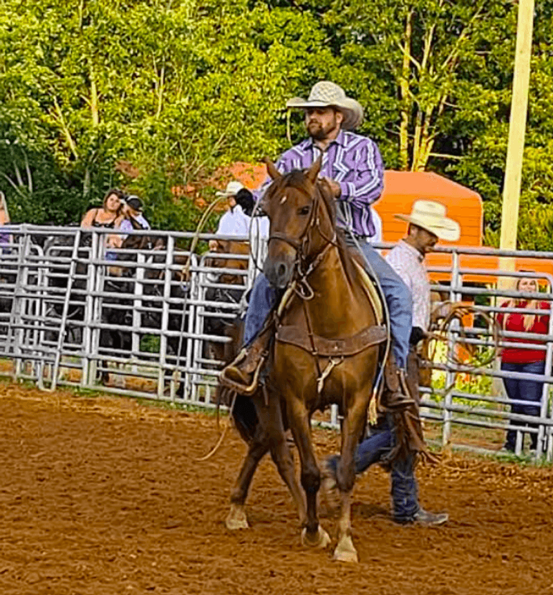 The Annual Rodeo That Draws a Crowd