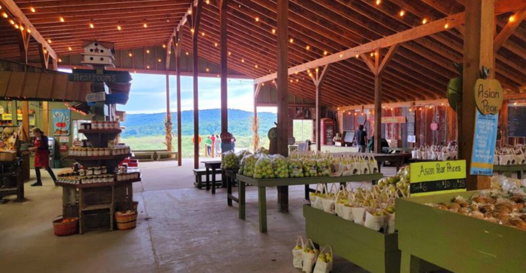 The Apple Cider Donuts at This North Carolina Orchard Have Become the Stuff of Legend