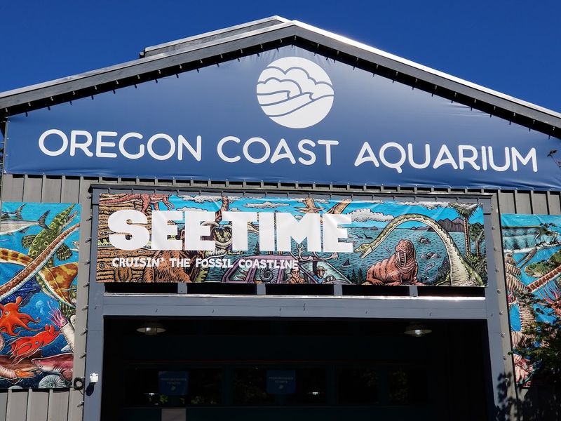 The Aquarium's History and Its Famous Former Resident