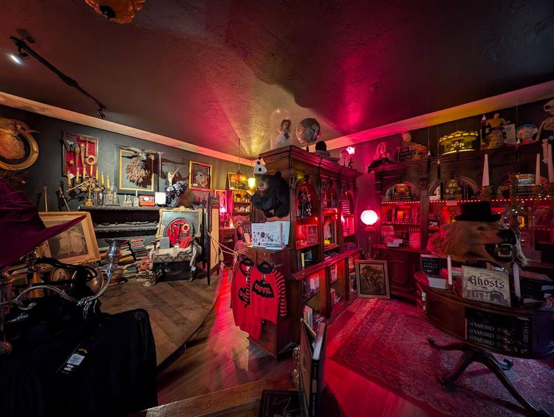 The Atmosphere Inside the Shop