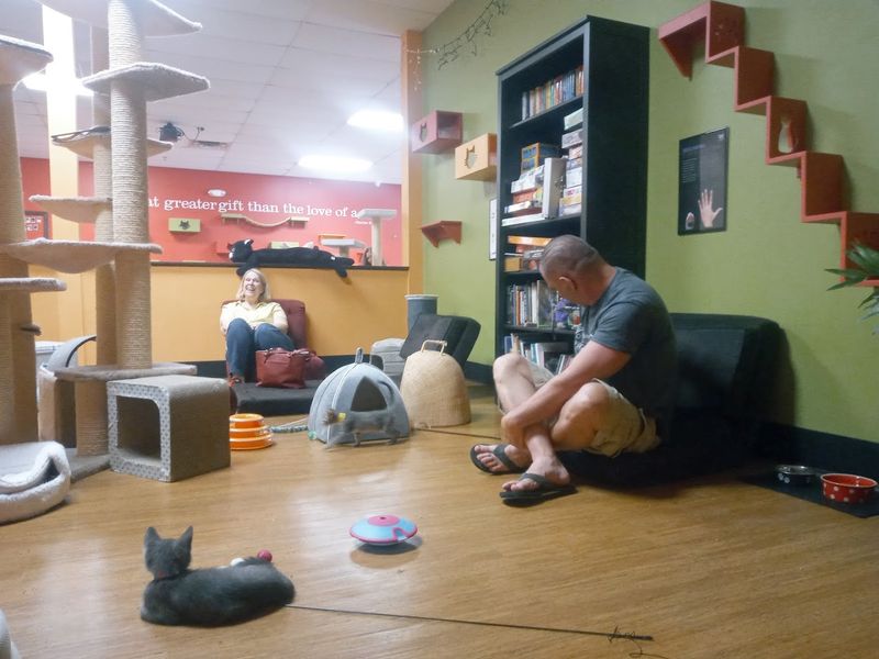 The Atmosphere That Keeps Regulars Returning Weekly The Atmosphere That Keeps Regulars Returning Weekly