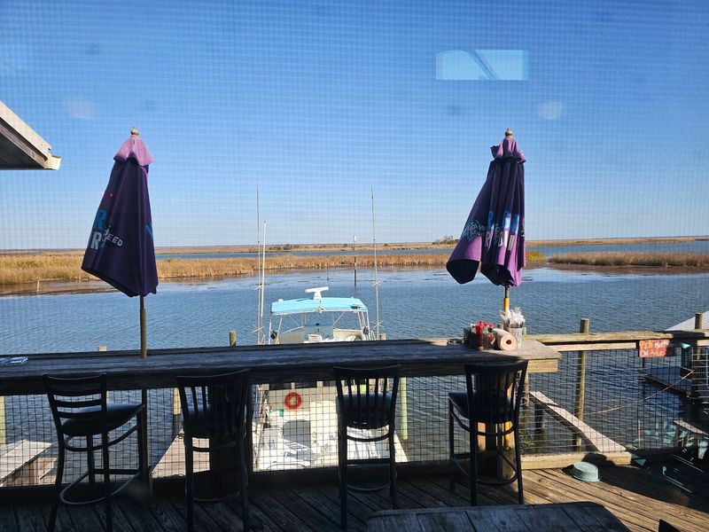 The Atmosphere and Vibe on the Deck