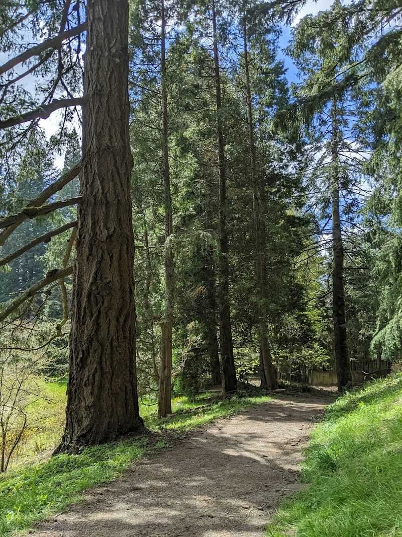 The Atmosphere on the Trails: What It Actually Feels Like to Be There