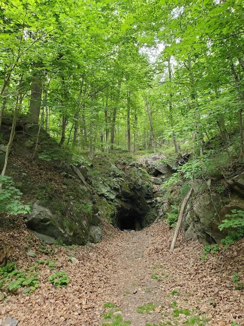 The Bat Cave That Kids Absolutely Cannot Stop Talking About