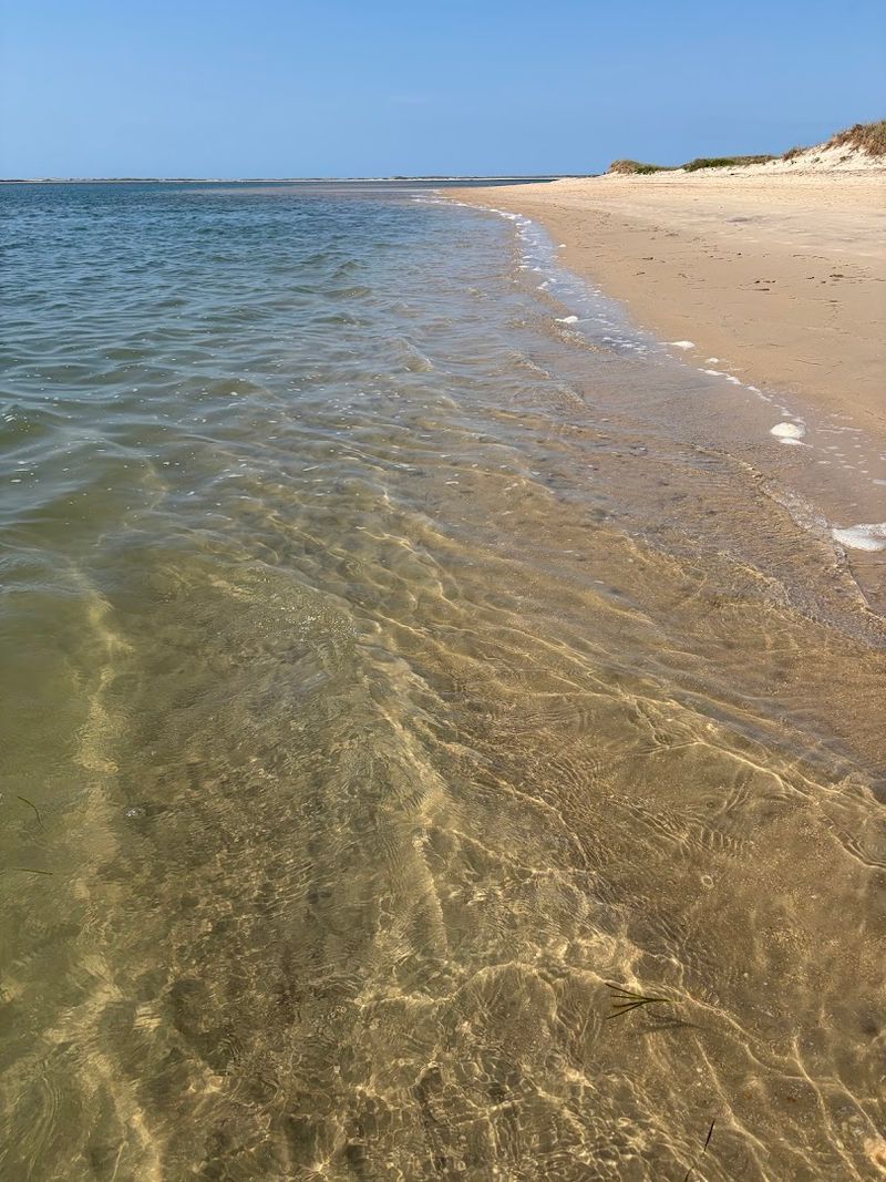 The Beaches and Water Quality The Beaches and Water Quality