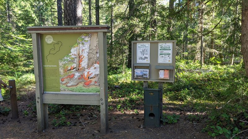 The Best Direction to Walk the Loop