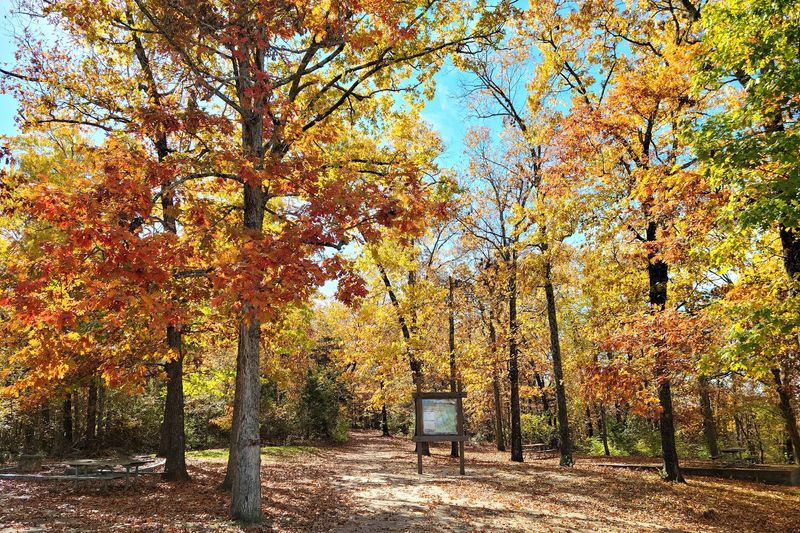 The Best Seasons to Visit and What Each One Offers The Best Seasons to Visit and What Each One Offers