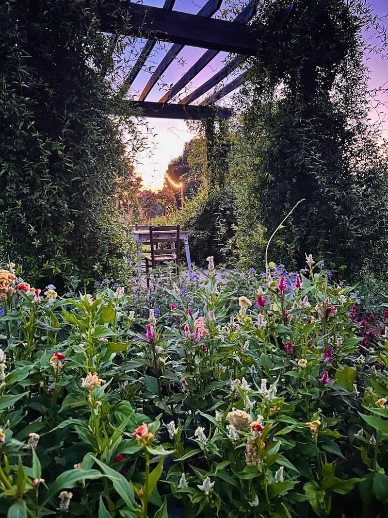 The Best Time of Day to Visit The Best Time of Day to Visit