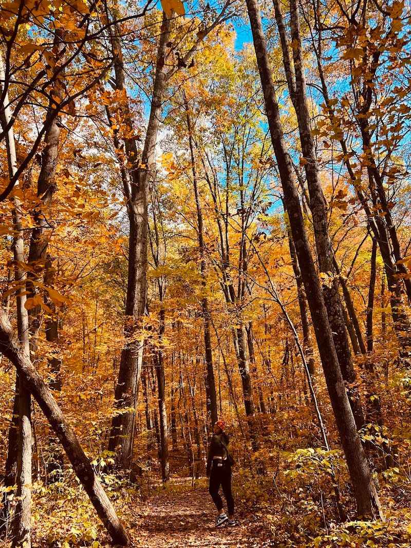 The Best Time of Year to Make This Trip