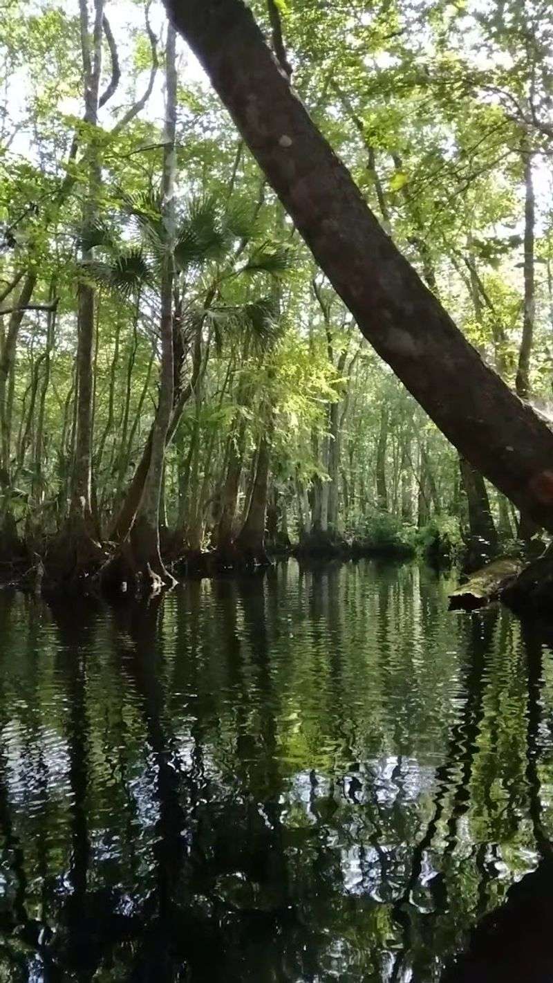 The Best Time of Year to Visit The Best Time of Year to Visit