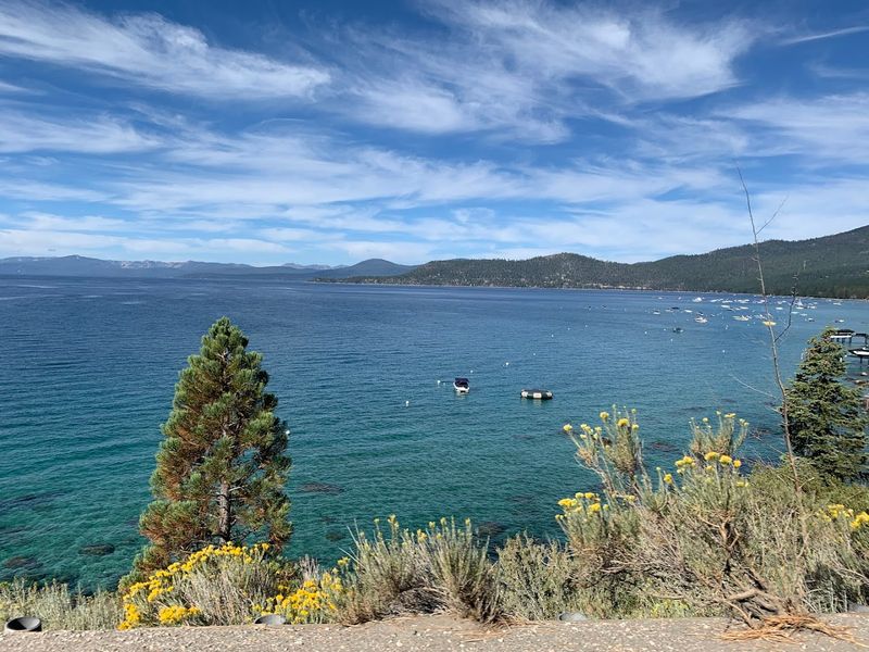 The Best Times to Visit and What to Expect