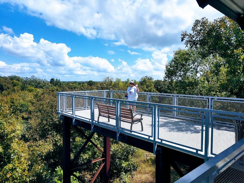 The Best Times to Visit for an Unforgettable Experience The Best Times to Visit for an Unforgettable Experience