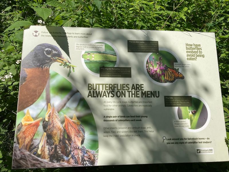 The Bird-Watching Scene Here Is Genuinely Impressive The Bird-Watching Scene Here Is Genuinely Impressive