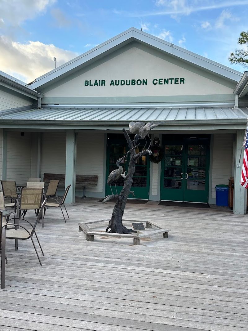 The Blair Audubon Center: Your Gateway to the Swamp The Blair Audubon Center: Your Gateway to the Swamp