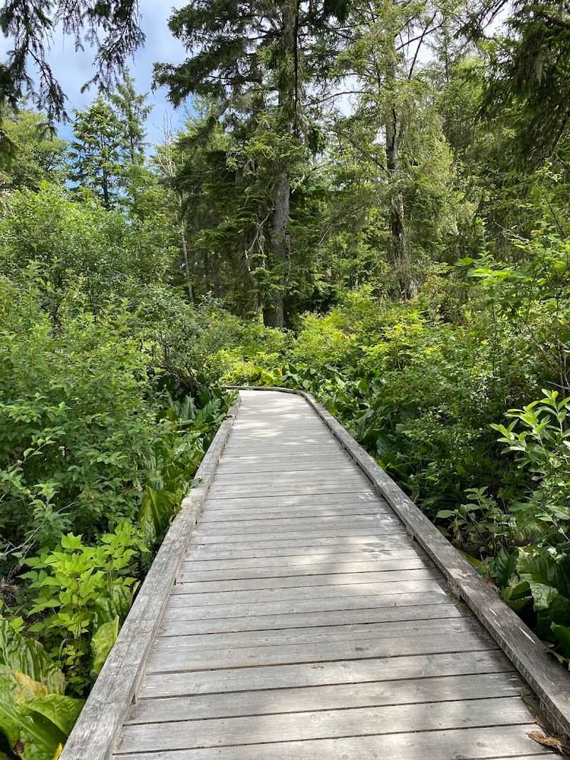 The Boardwalk: A Path That Works for Almost Everyone The Boardwalk: A Path That Works for Almost Everyone