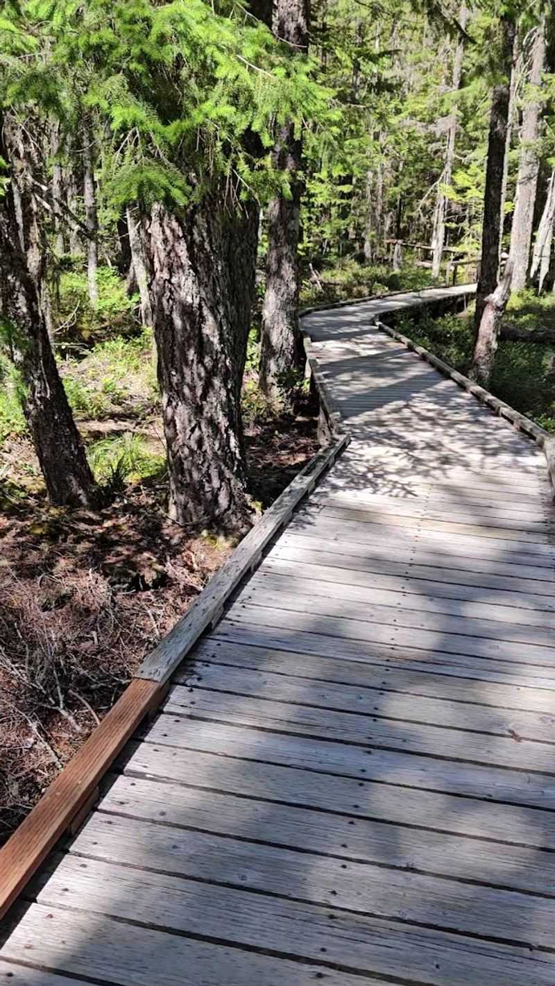 The Boardwalk That Keeps You Safe and Informed