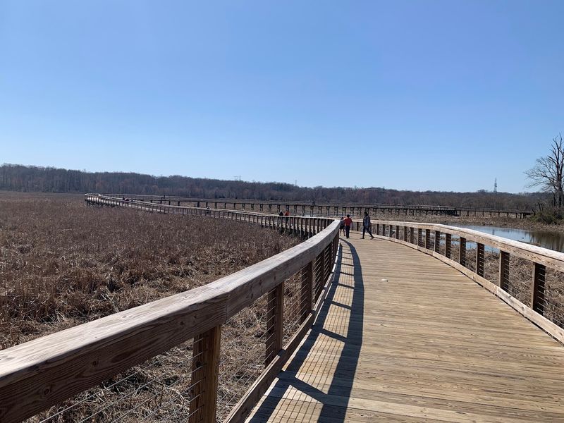 The Boardwalk Trail: What to Expect Underfoot