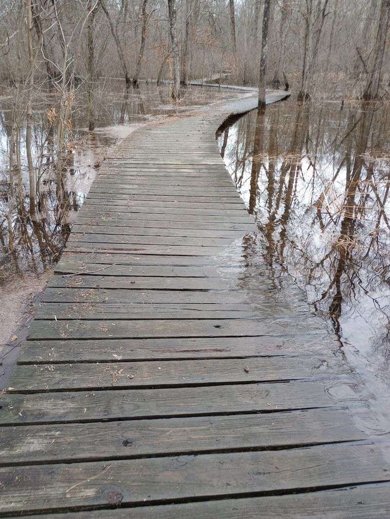The Boondocks Boardwalk and Why It Deserves Its Own Paragraph The Boondocks Boardwalk and Why It Deserves Its Own Paragraph