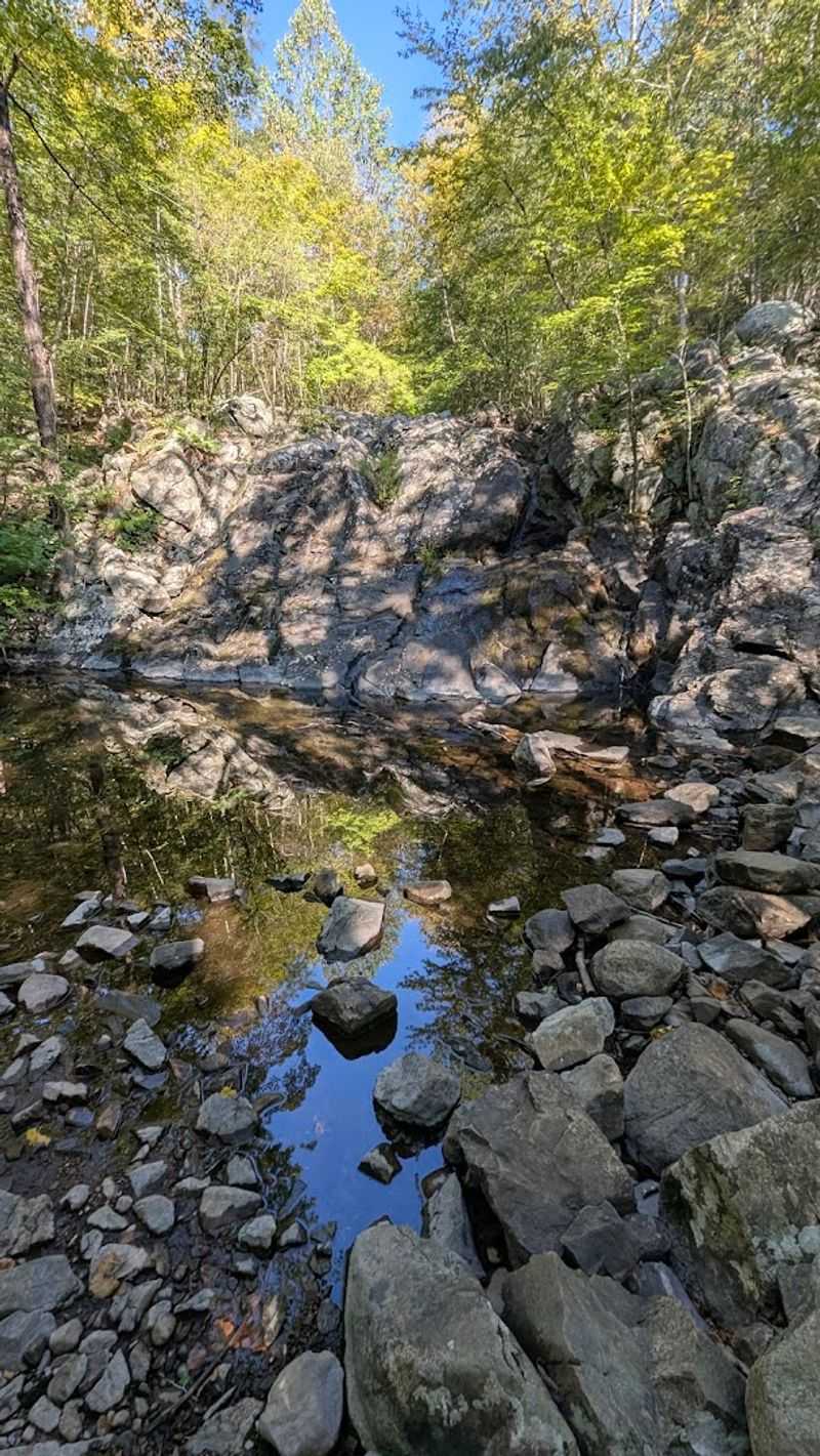 The Boulder Fields That Define This Forest