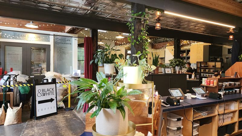 The Cafe Corner and Coffee Connection