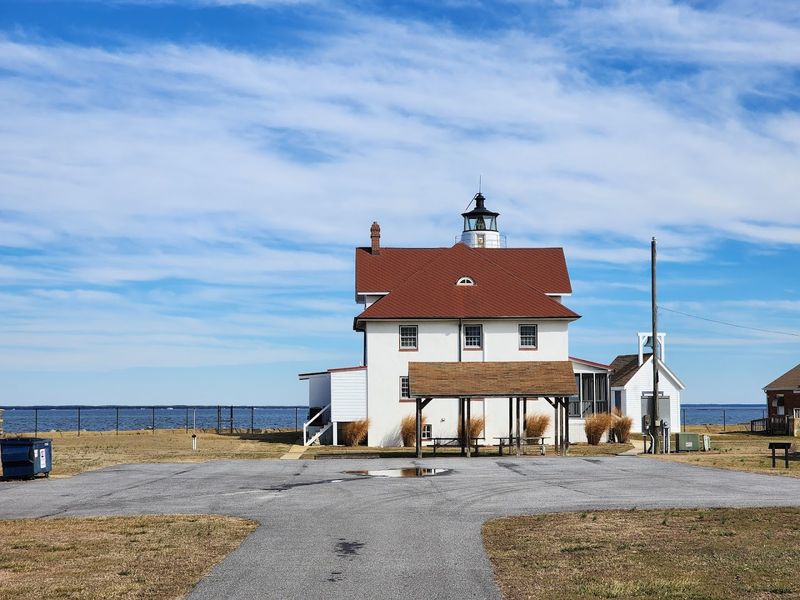 The Calvert Marine Museum Connection You Should Know About The Calvert Marine Museum Connection You Should Know About