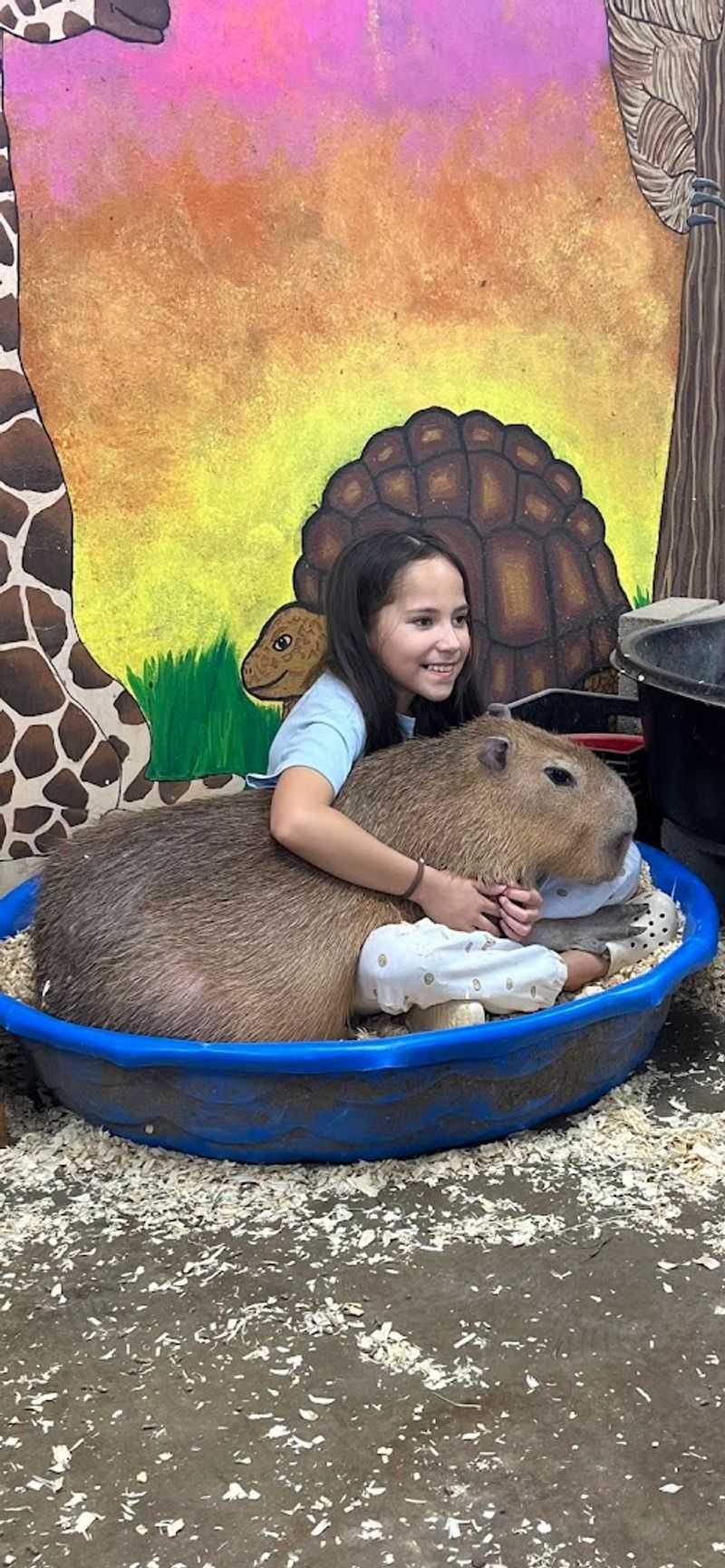 The Capybara Named Katie and Other Unforgettable Residents The Capybara Named Katie and Other Unforgettable Residents