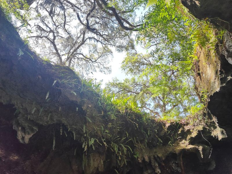 The Cave With a Skylight That Stops Hikers in Their Tracks